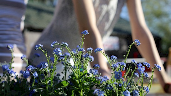 werk in de tuin in mei