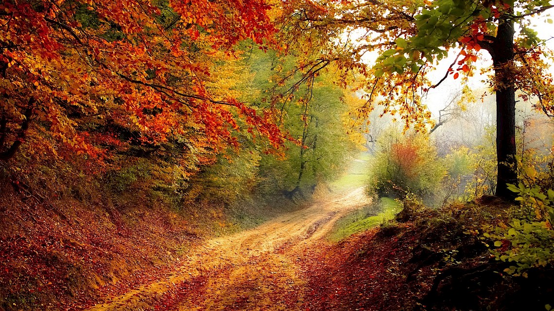 Herfstlandschap: Week van het landschap