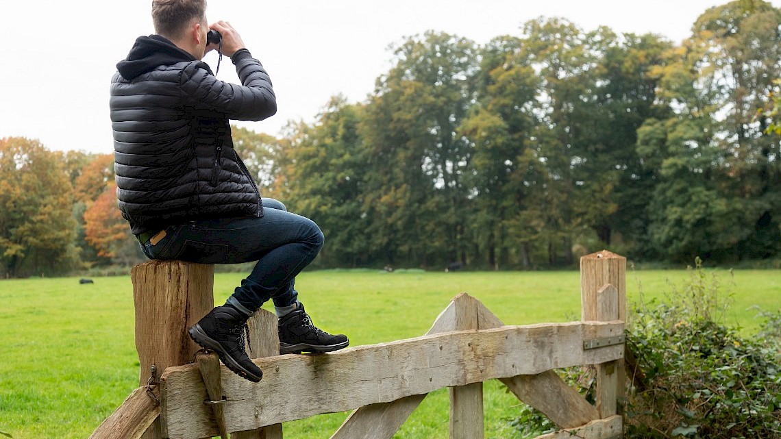 Grisport Premium wandelschoenen ideaal voor zowel korte als lange wandelingen