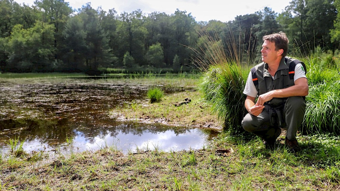 Natuurgebied Engbertsdijksvenen