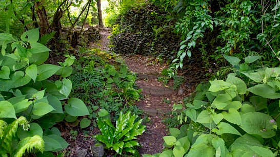 De tuin van Sjef