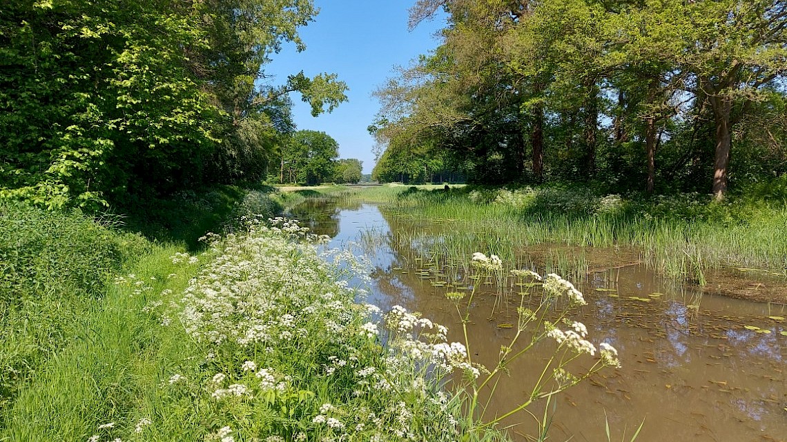 De Veengoot in Linde